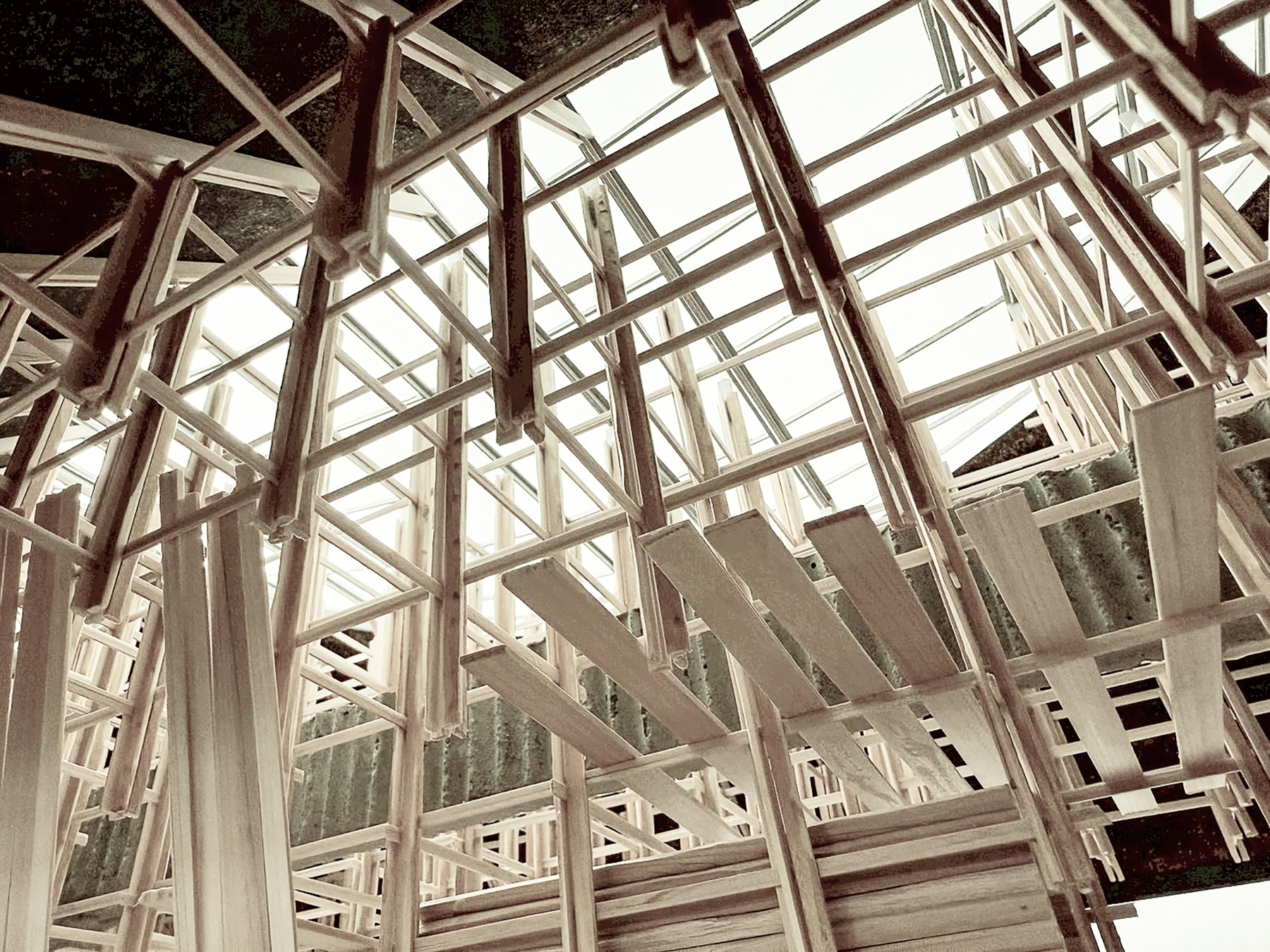 Architecture that Mirrors Nature
